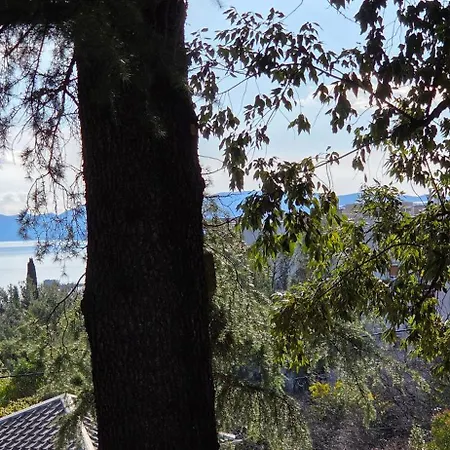 Apartment Paradise Rijeka